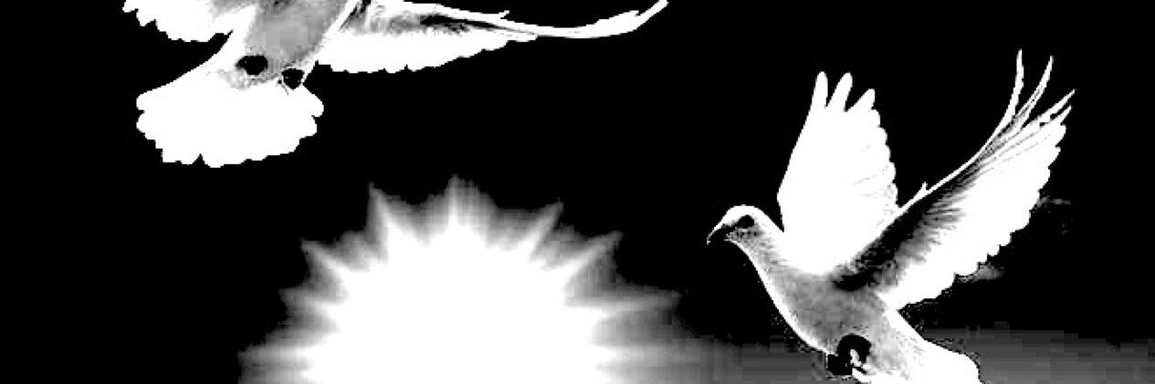 MichelleKrakina's profile banner image