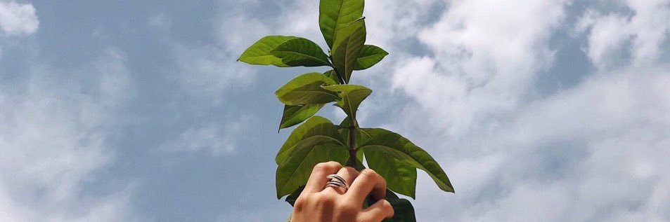 hfcm__'s profile banner image