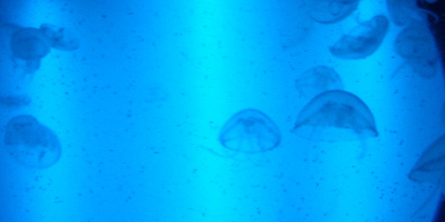 GildegomezG's profile banner image