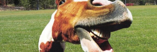 EquineHour Profile Banner