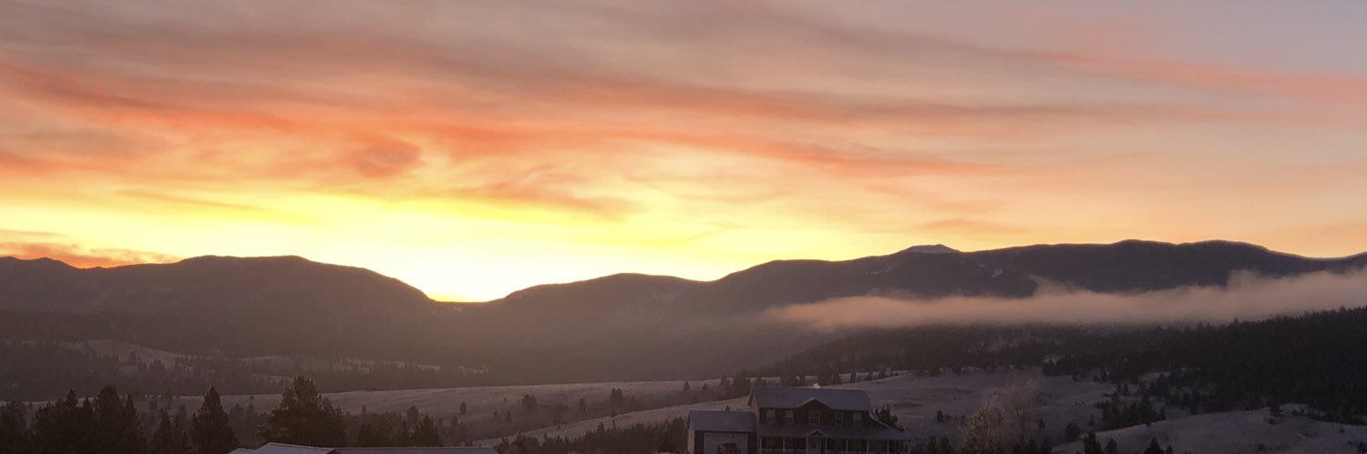 kylauribe's profile banner image