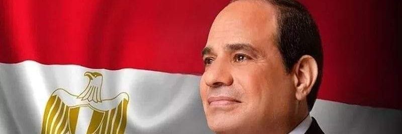 Amina Tharwat Abaza banner