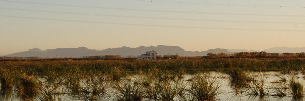 tancatdelapipa Profile Banner