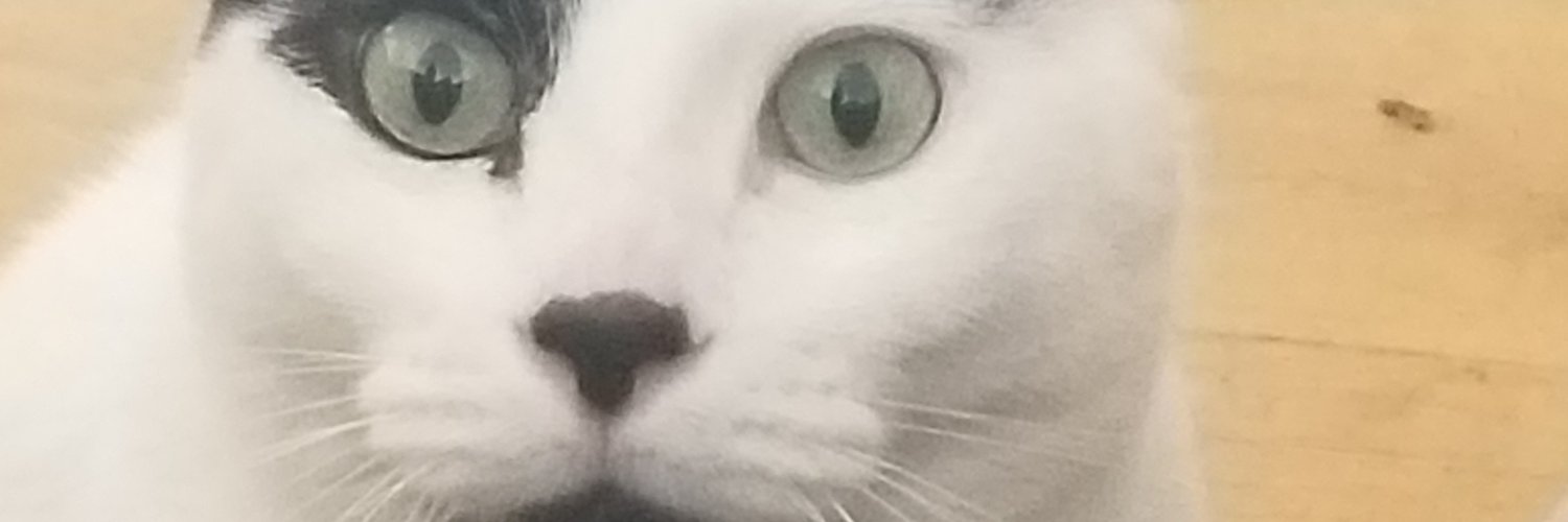 PeaceLibLady's profile banner image