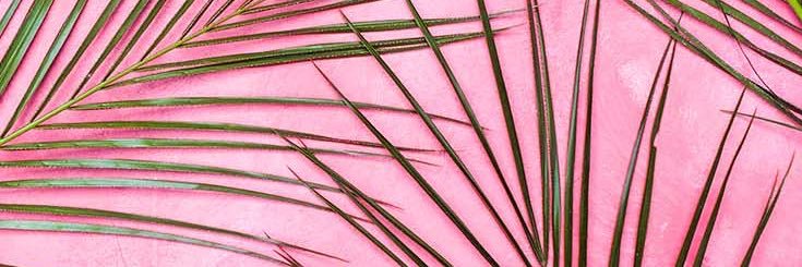 Daphnettle's profile banner image