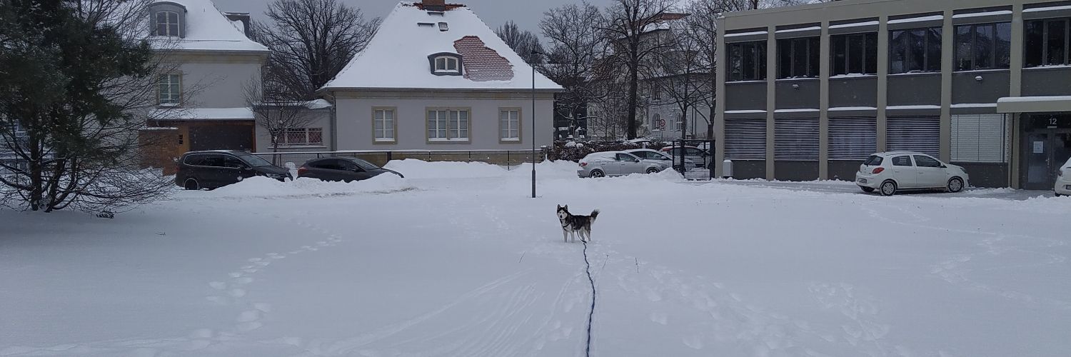 KvonHf's profile banner image