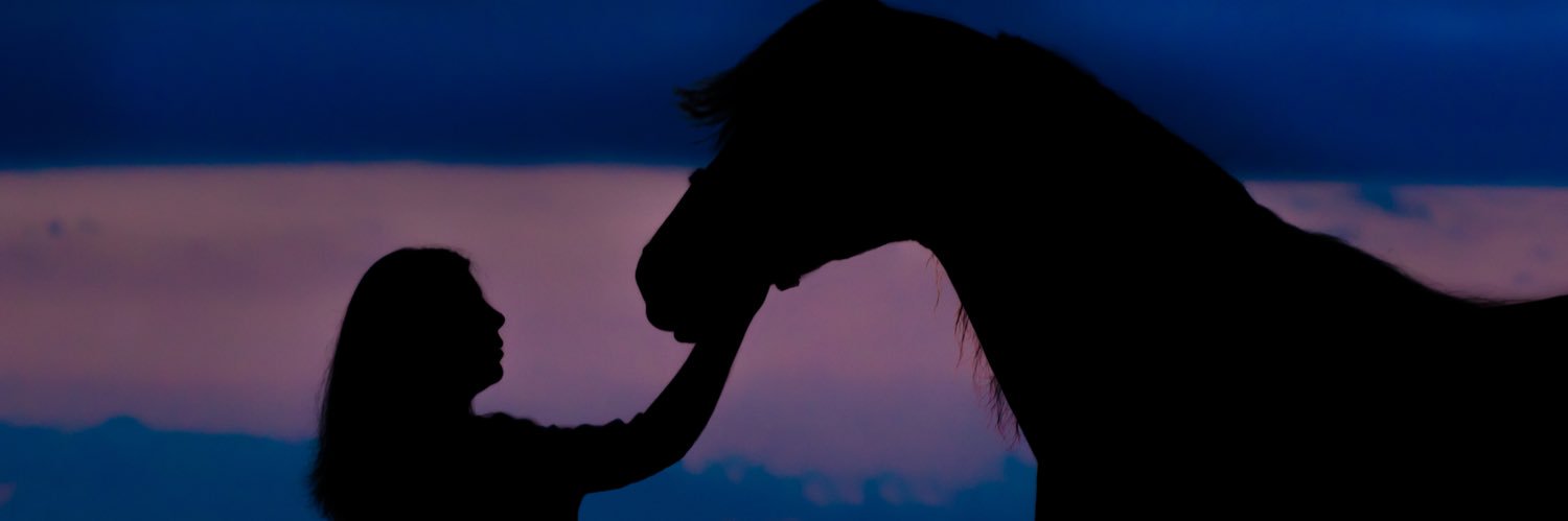 AprilBetzer's profile banner image