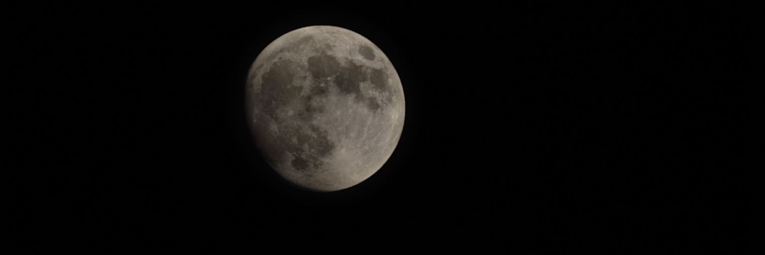 Darkus's profile banner image