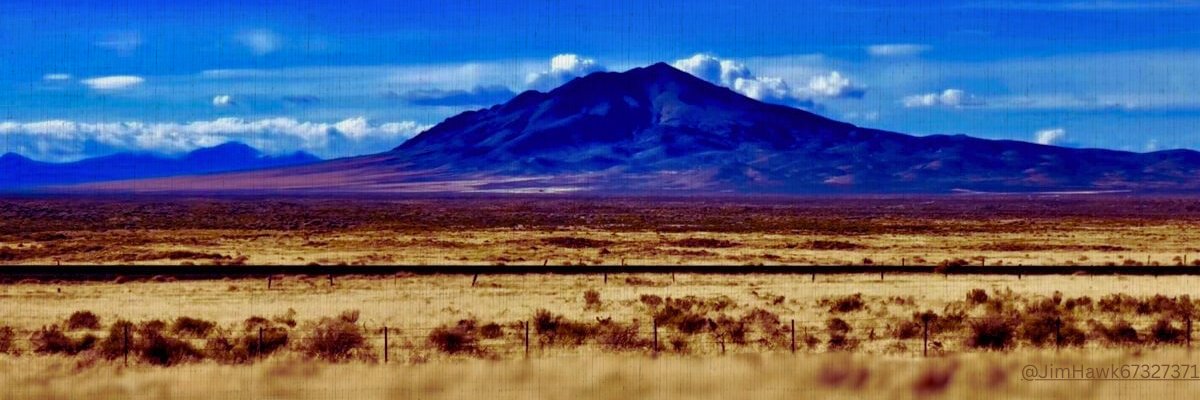 Dylan banner