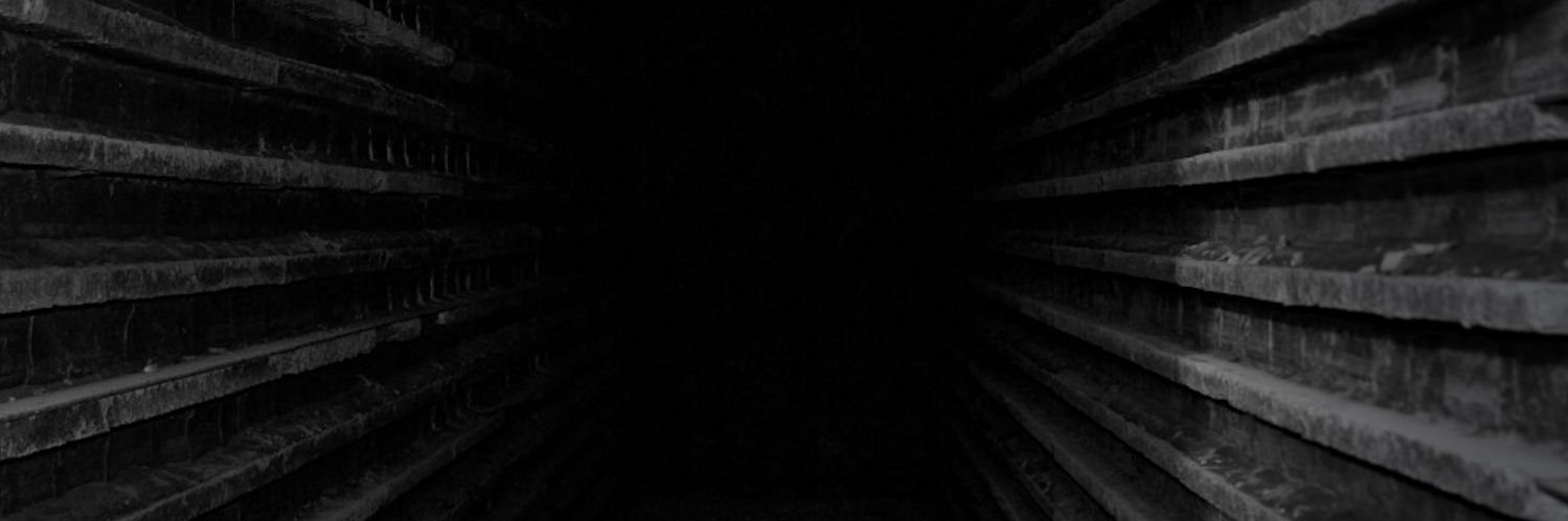 Arvox11's profile banner image
