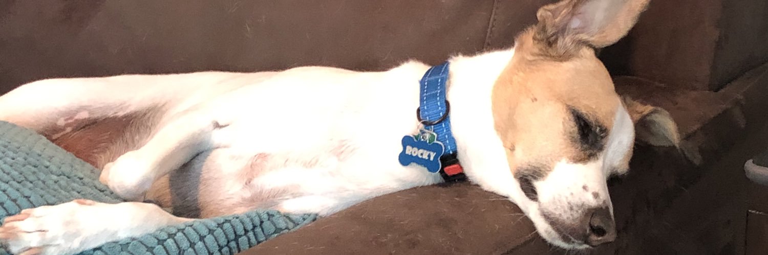 MikeFrydman's profile banner image