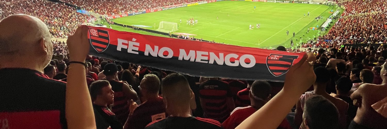 rayanneguedes's profile banner image