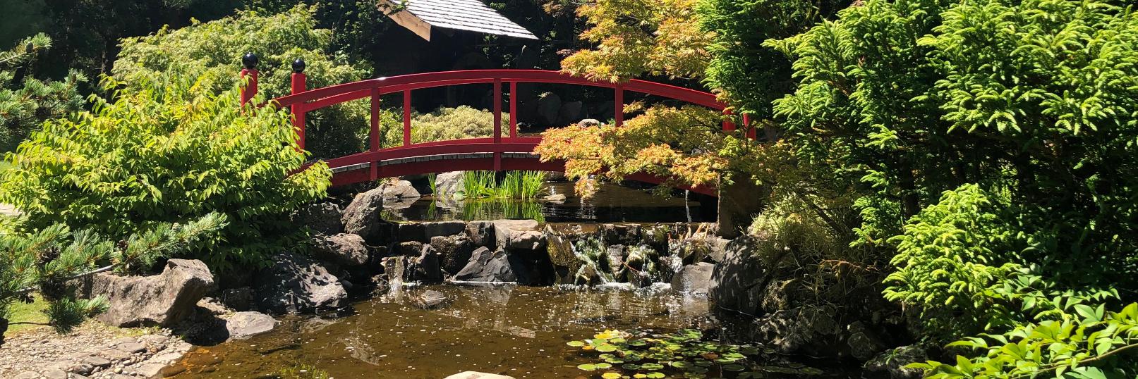 M Dilani Mendis banner