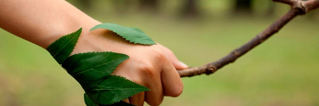 Ecogomas | Planta recicladora de neumáticos banner