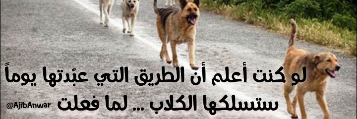 Aɴᴡᴀʀ Aᴊɪʙ 212 🇱🇧 banner