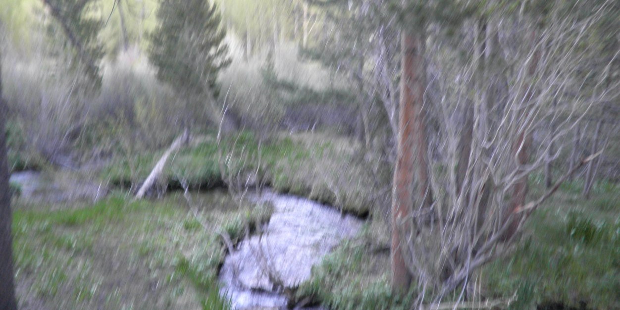Cheryl Gray banner