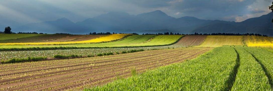 VT Dept. of CSES banner