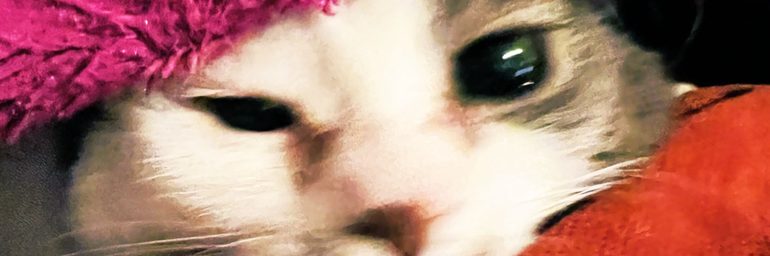 redddviness's profile banner image