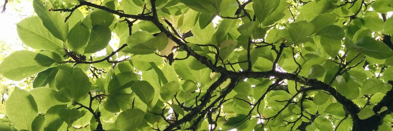 billy_matthus's profile banner image