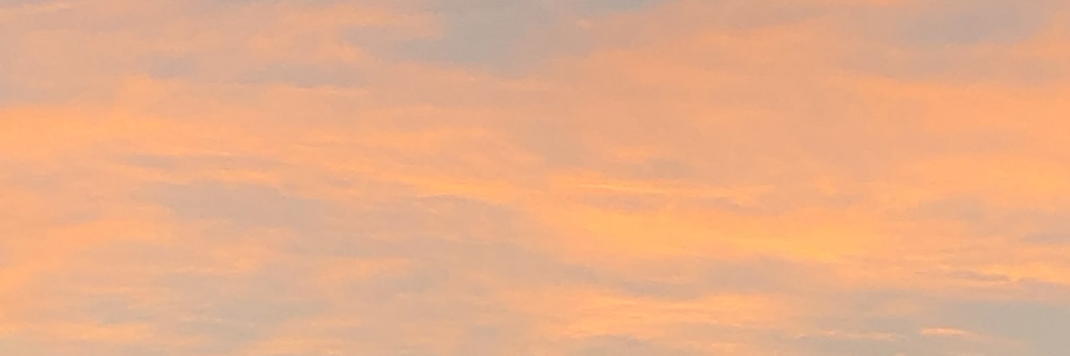 Lucy_To1's profile banner image