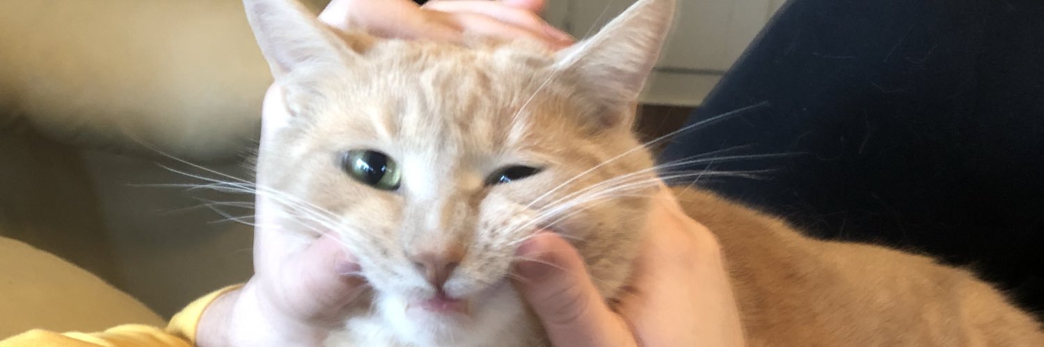 twatasticalicat's profile banner image