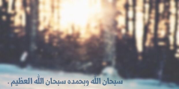 slhalawii's profile banner image