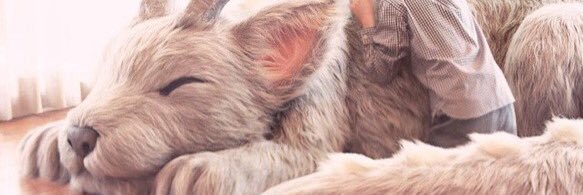 k_tea5107's profile banner image