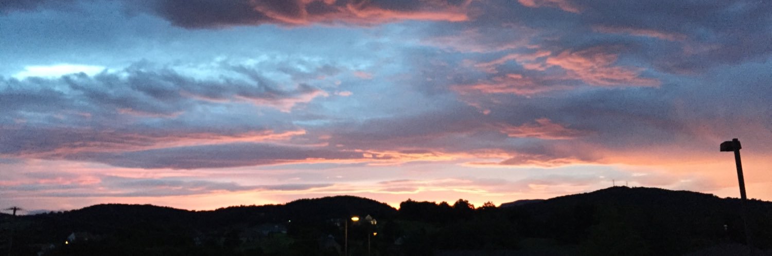 🇺🇦 🌻 J Sills O’Keefe 🌻🇺🇦 banner