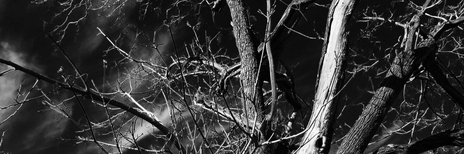 DerekWells's profile banner image