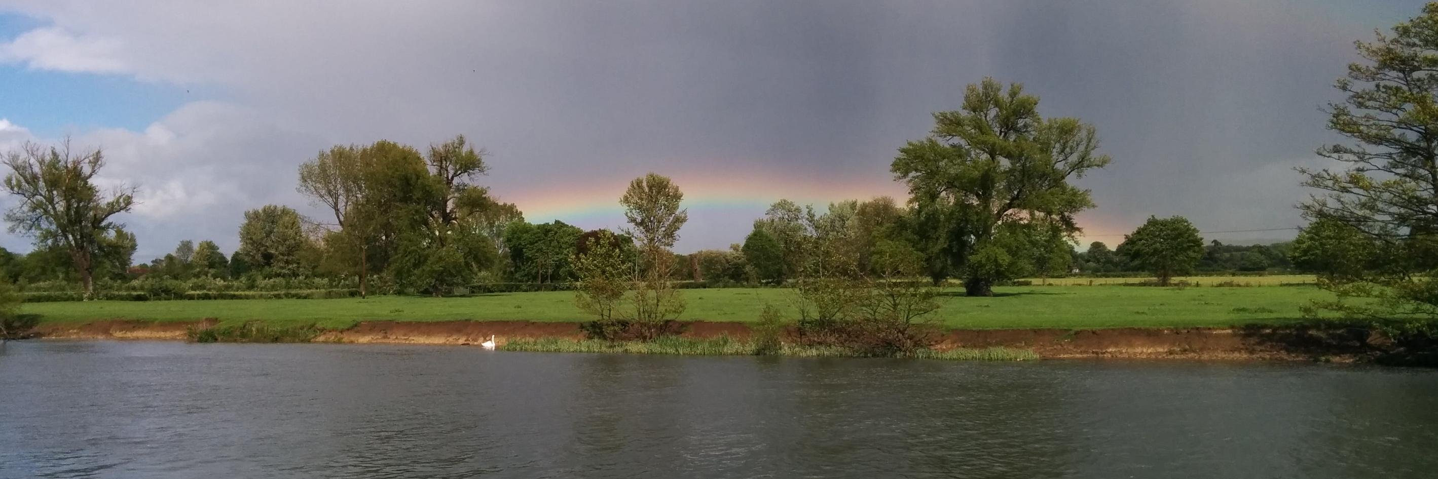 Ilaria Prosdocimi banner