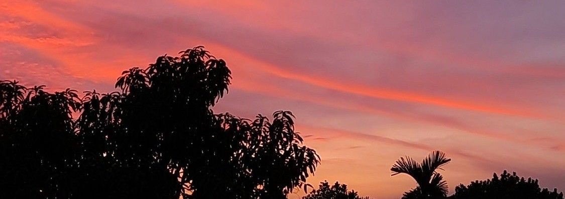 ______Sofia23's profile banner image