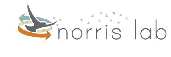 RyanNorrisSci Profile Banner