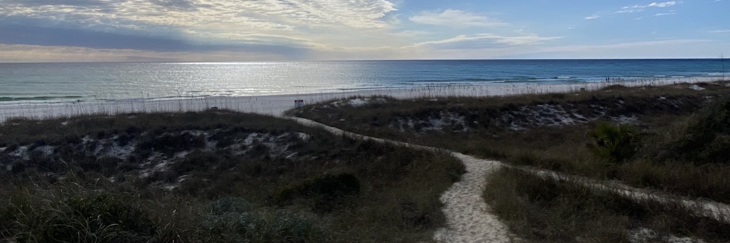 Chris Dickson banner