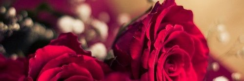 faisal14ali's profile banner image