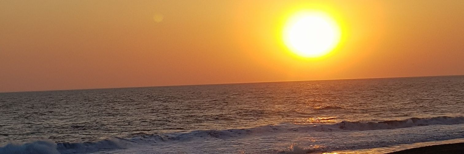 vixenemerson's profile banner image