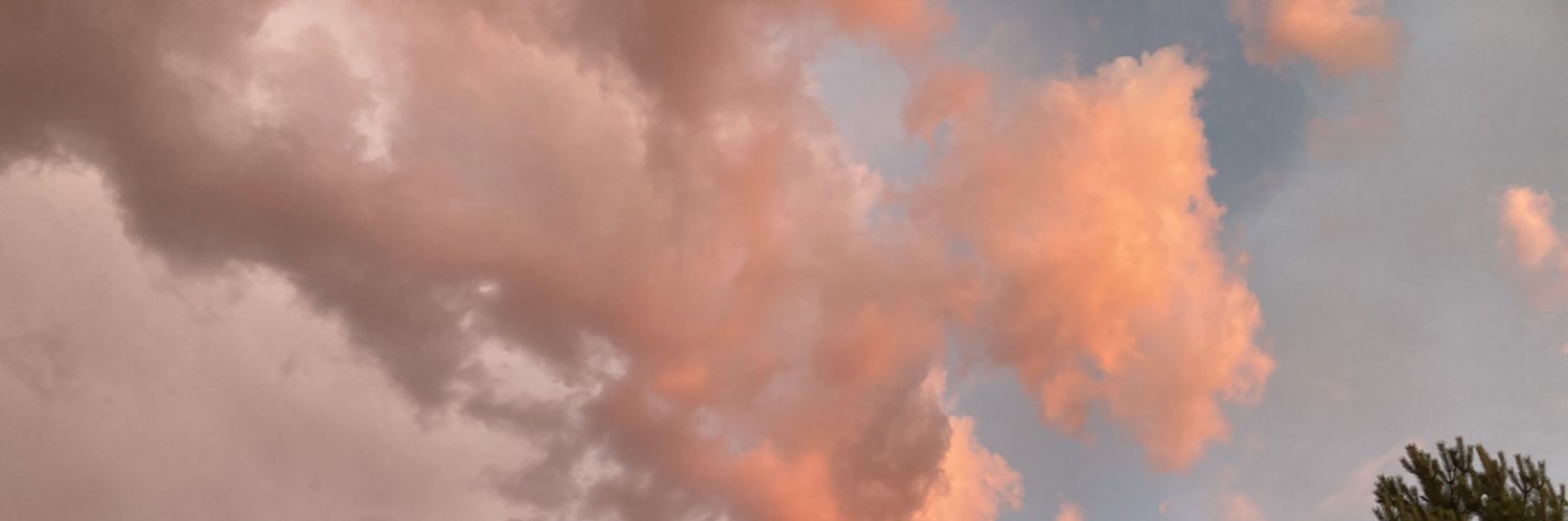 newslang333's profile banner image