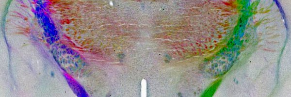 mattersOfLight Profile Banner