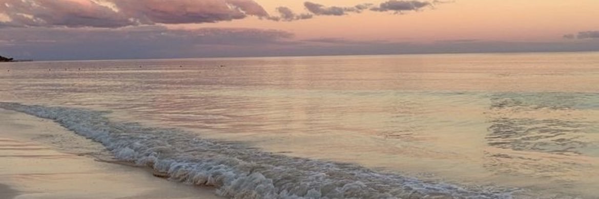 AdalisPerera's profile banner image