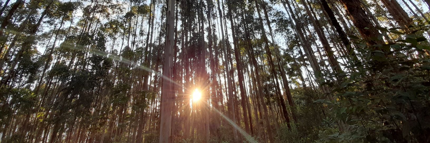 lorentrujillo16's profile banner image