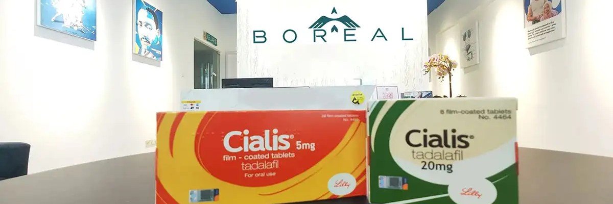 borealtr's profile banner image