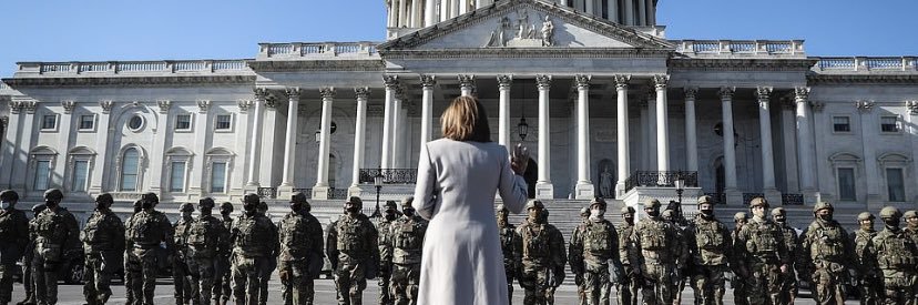 Victoria #NoExcuseForAnimalAbuse banner