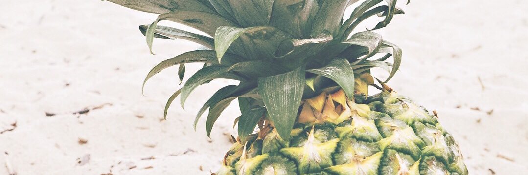 jessielover12's profile banner image