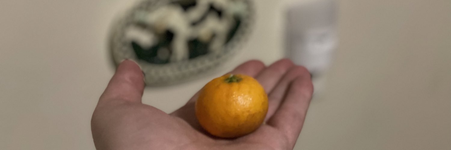 terfbangs420's profile banner image