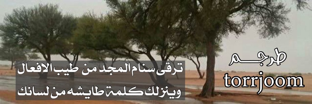 طرجم الألغاز banner