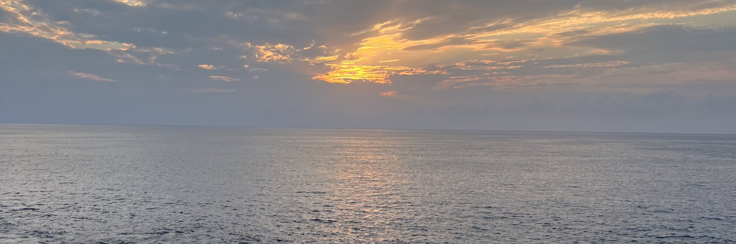 sydneyhhanson's profile banner image
