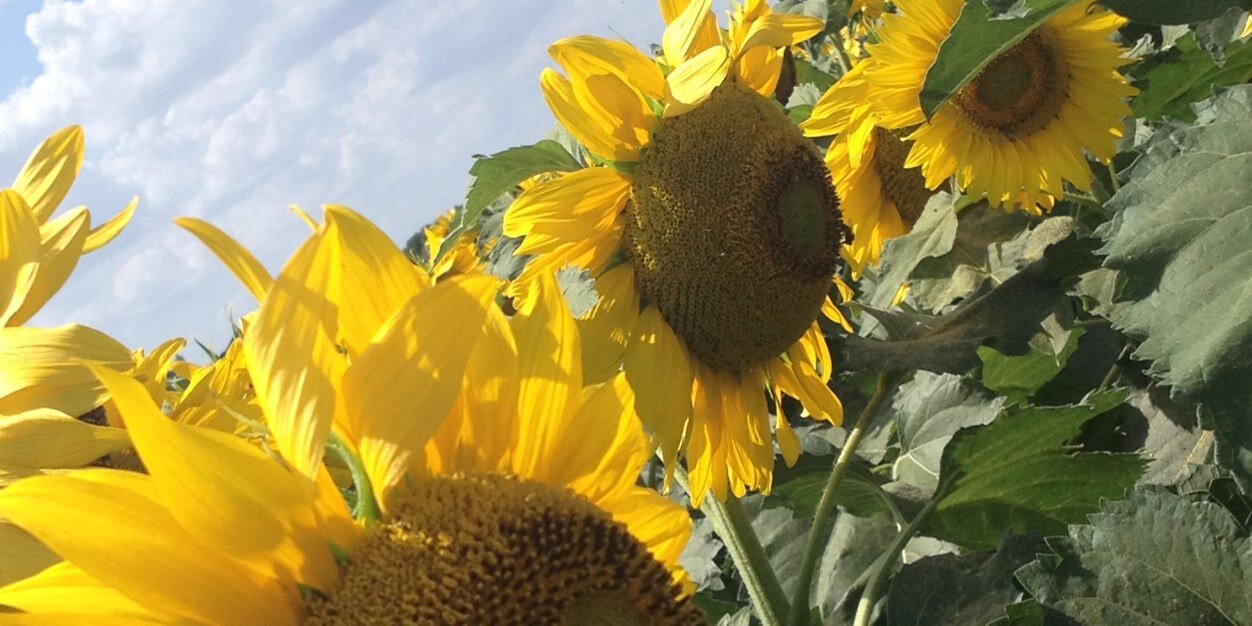 angelabibb4's profile banner image