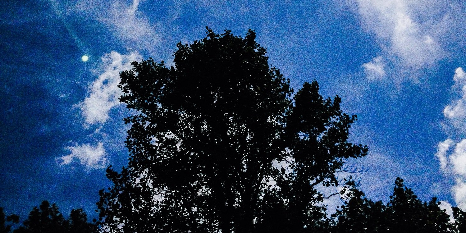 Pmfontes's profile banner image