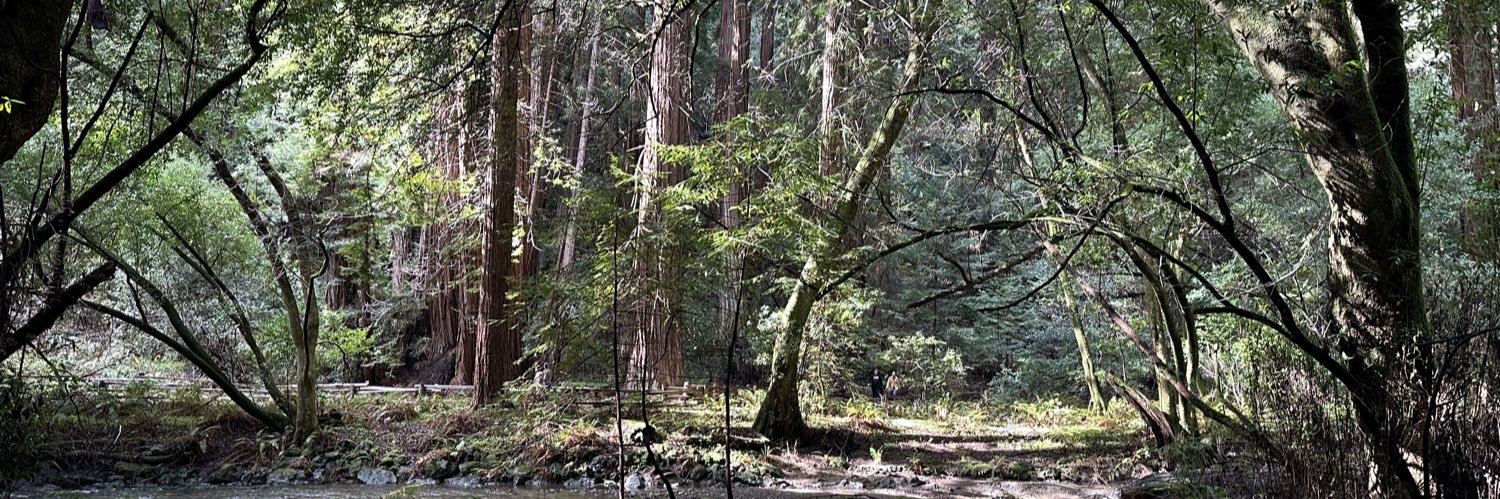 Brett Schoettle banner