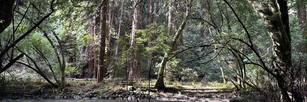 b_schutt20 Profile Banner