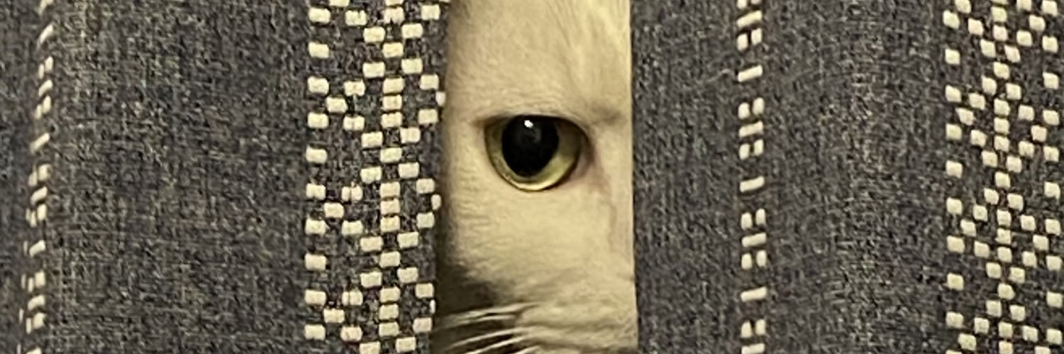 FRISKyuru's profile banner image